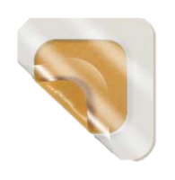 Derma Sciences -  MEDIHONEY® Adhesive Dressing - 31422 - Product