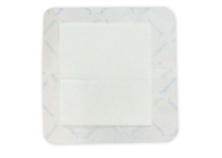 Picture of Bordered Gauze - Adhesive