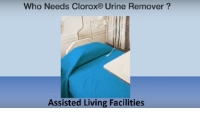 Clorox® - Urine Remover - 31356 - In Use